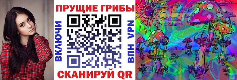 цены   Богучар  Псилоцибиновые грибы Cubensis 